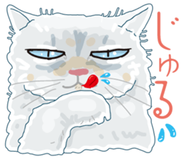 Friend of a pleasant cat sticker #6923392