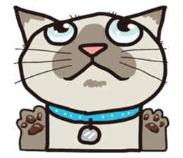 Friend of a pleasant cat sticker #6923397