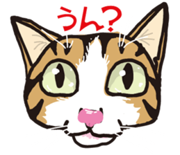 Friend of a pleasant cat sticker #6923398