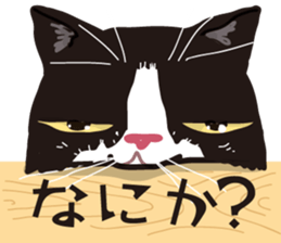 Friend of a pleasant cat sticker #6923399