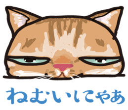 Friend of a pleasant cat sticker #6923401