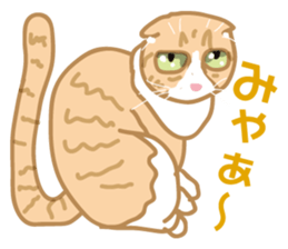 Friend of a pleasant cat sticker #6923406