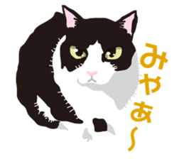 Friend of a pleasant cat sticker #6923410