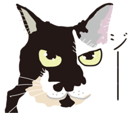 Friend of a pleasant cat sticker #6923413