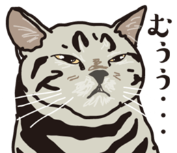 Friend of a pleasant cat sticker #6923415