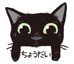 Friend of a pleasant cat sticker #6923416