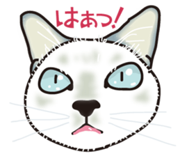 Friend of a pleasant cat sticker #6923423