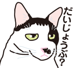 Friend of a pleasant cat sticker #6923428