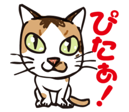 Friend of a pleasant cat sticker #6923429