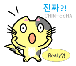 Daily life of animals (Korean/English) sticker #6924535
