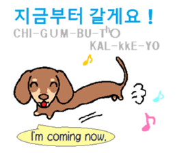 Daily life of animals (Korean/English) sticker #6924536