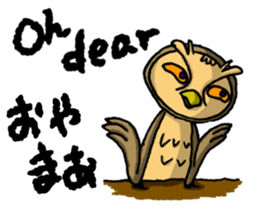 HARDBOILED OWL sticker #6925121