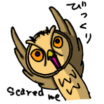 HARDBOILED OWL sticker #6925129