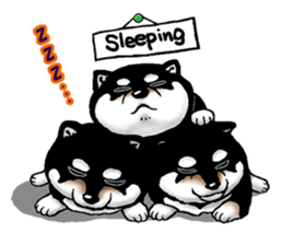 Mameshiba (Black) sticker #6925683