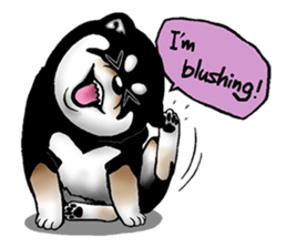 Mameshiba (Black) sticker #6925692