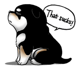 Mameshiba (Black) sticker #6925701