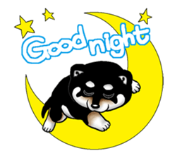 Mameshiba (Black) sticker #6925711