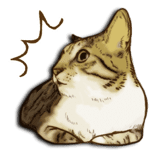 Brown Tabby! PENNE and CORNET -English- sticker #6928557
