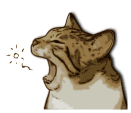 Brown Tabby! PENNE and CORNET -English- sticker #6928561