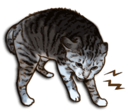 Brown Tabby! PENNE and CORNET -English- sticker #6928565