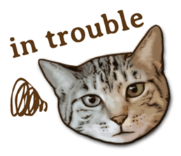 Brown Tabby! PENNE and CORNET -English- sticker #6928569