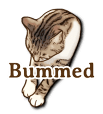 Brown Tabby! PENNE and CORNET -English- sticker #6928572