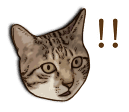 Brown Tabby! PENNE and CORNET -English- sticker #6928573