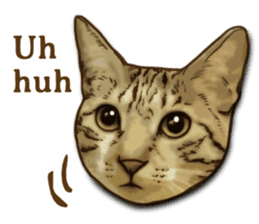 Brown Tabby! PENNE and CORNET -English- sticker #6928578