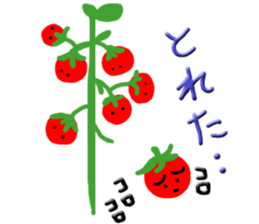 They are "Tomato Family" sticker #6929454