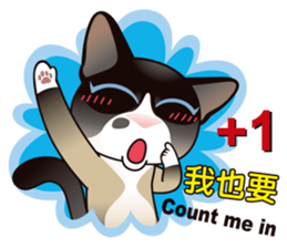Snowshoe Cat Lumang III sticker #6929609