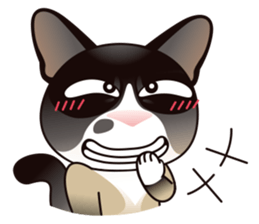 Snowshoe Cat Lumang III sticker #6929610