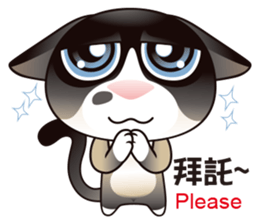 Snowshoe Cat Lumang III sticker #6929611