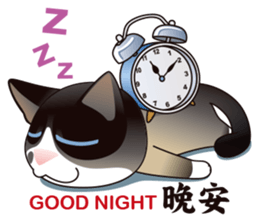 Snowshoe Cat Lumang III sticker #6929615