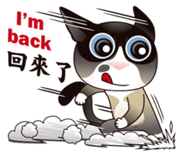 Snowshoe Cat Lumang III sticker #6929619