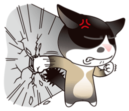 Snowshoe Cat Lumang III sticker #6929622