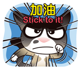 Snowshoe Cat Lumang III sticker #6929623