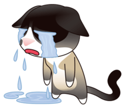 Snowshoe Cat Lumang III sticker #6929630