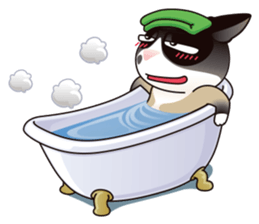 Snowshoe Cat Lumang III sticker #6929634