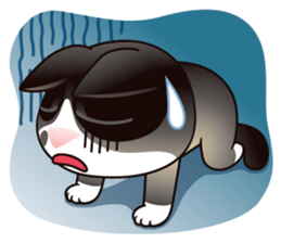 Snowshoe Cat Lumang III sticker #6929635