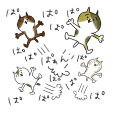 onomatopoeic cats sticker #6929778