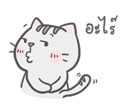 Mr. bear and his cutie cat sticker #6931695