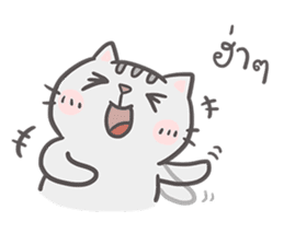 Mr. bear and his cutie cat sticker #6931708