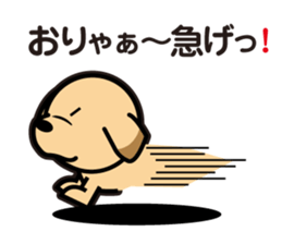 Retriever Lomu in NANIWA sticker #6932424