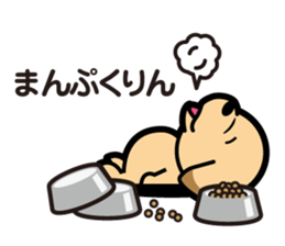 Retriever Lomu in NANIWA sticker #6932426