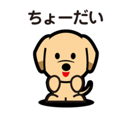 Retriever Lomu in NANIWA sticker #6932430