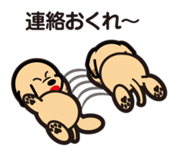 Retriever Lomu in NANIWA sticker #6932441