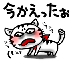 White cat sticker-1 sticker #6935836