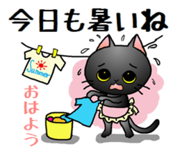 Sticker of an expressive cat2 in Summer sticker #6936098