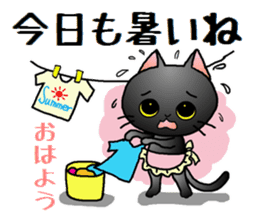 Sticker of an expressive cat2 in Summer sticker #6936098