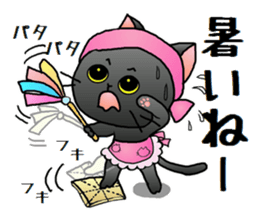 Sticker of an expressive cat2 in Summer sticker #6936099